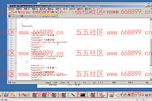 第一登录器 授权码正确进游戏黑屏处理方法+视频教程